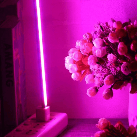 UV Light Plants PeekWise