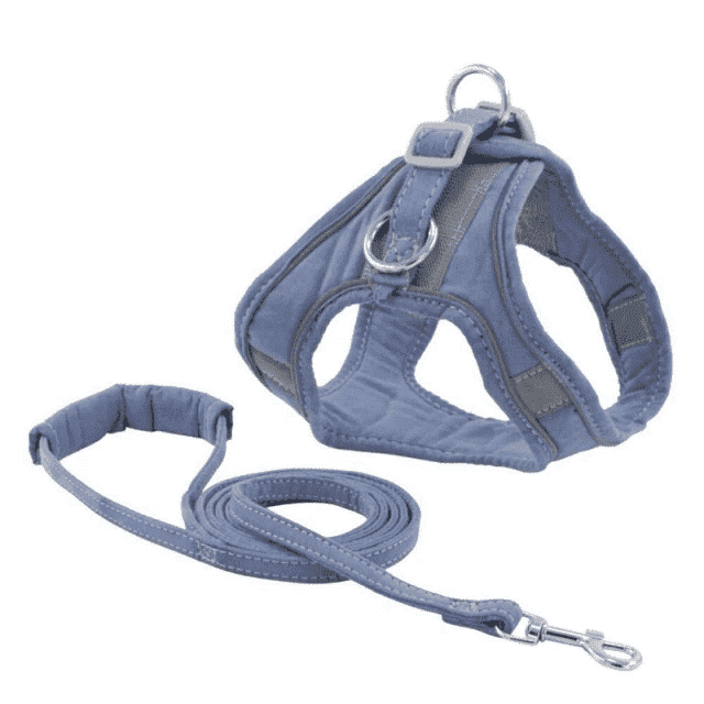 Reflective Cat harness leash PeekWise