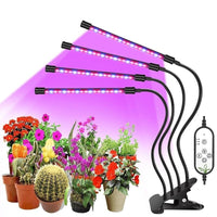 Thumbnail for Grow Light Indoor Plants PeekWise