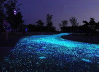 Thumbnail for Gleam - Glow-in-the-Dark Garden Pebbles