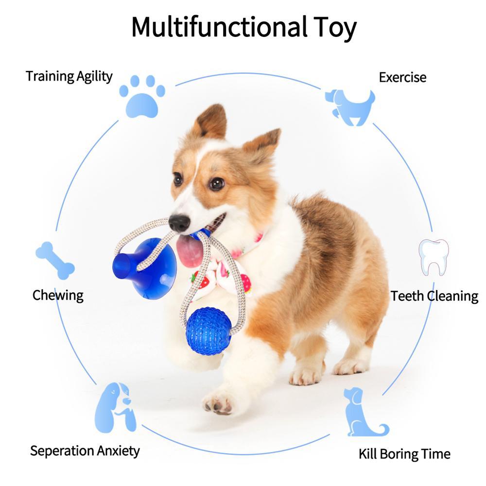 Dog Suction Cup Toy