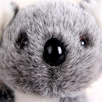 Thumbnail for Stuffed Koala Bear