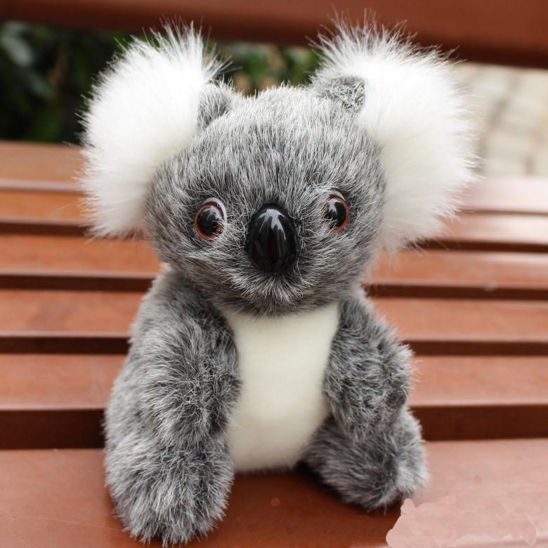 Stuffed Koala Bear