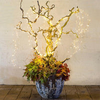 Thumbnail for Firefly Bunch Lights