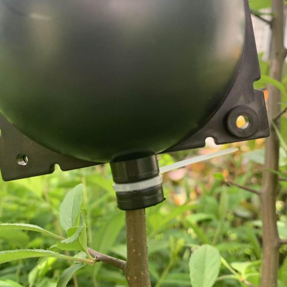 Plant Root Growing Box (5 PCS)