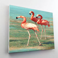 Thumbnail for Paint By Numbers Kit - Flamingos