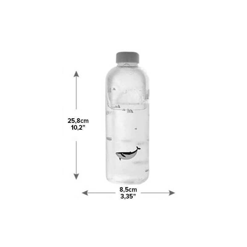 1L Ocean Series Glass Water Bottle PeekWise