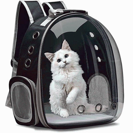 Cat Breathable Backpack PeekWise