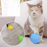 Thumbnail for AutoPlay - Interactive Rolling Pet Toy