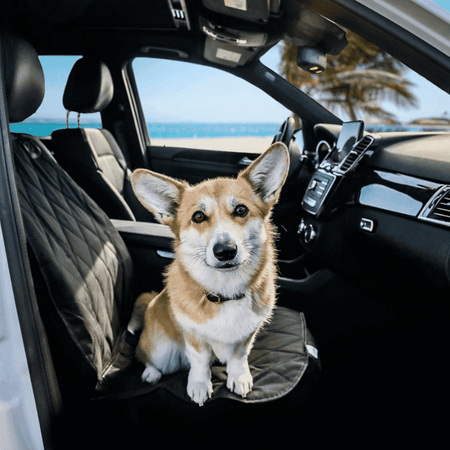 Dog Seat Cover Car PeekWise