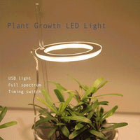 Thumbnail for Full Spectrum Grow Light PeekWise