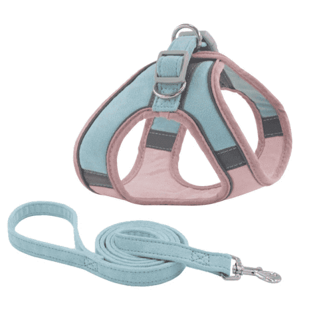 Reflective Cat harness leash PeekWise