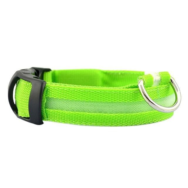 Safety Flashing Glow Light Pet Collar - PeekWise