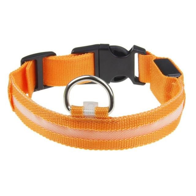 Safety Flashing Glow Light Pet Collar - PeekWise