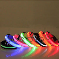 Thumbnail for Safety Flashing Glow Light Pet Collar PeekWise