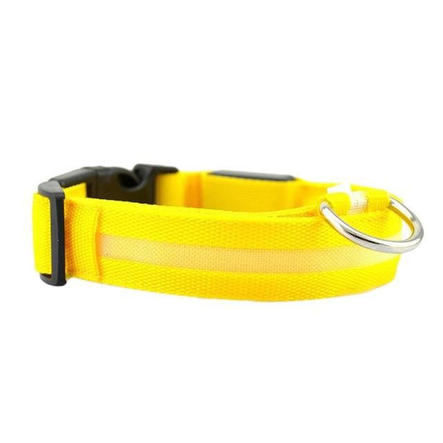 Safety Flashing Glow Light Pet Collar PeekWise