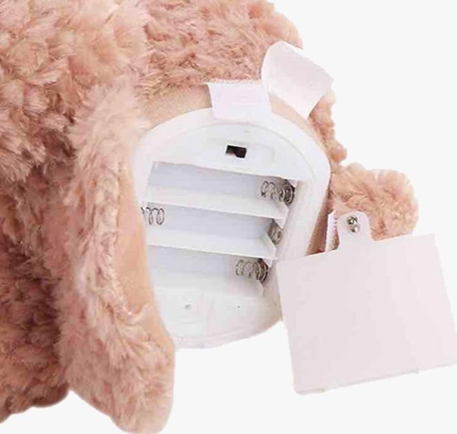 Peek-A-Boo Bear PeekWise