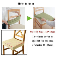 Thumbnail for Chair Seat Covers PeekWise
