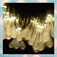 Thumbnail for Forest String Lights