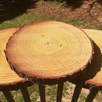 Thumbnail for Set inch Wood Slices PeekWise