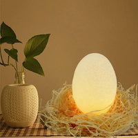 Thumbnail for 3D Dinosaur Egg Color Change Nightlight