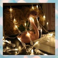 Thumbnail for Forest String Lights