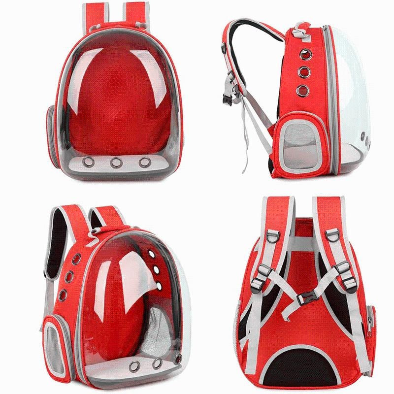 Cat Breathable Backpack PeekWise