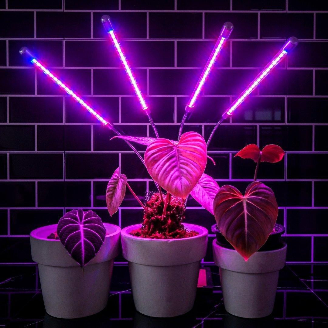 Grow Light Indoor Plants PeekWise