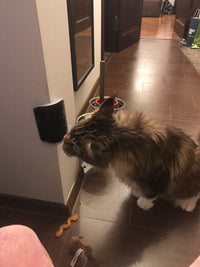 Thumbnail for KittyRub - Cat Massage Comb