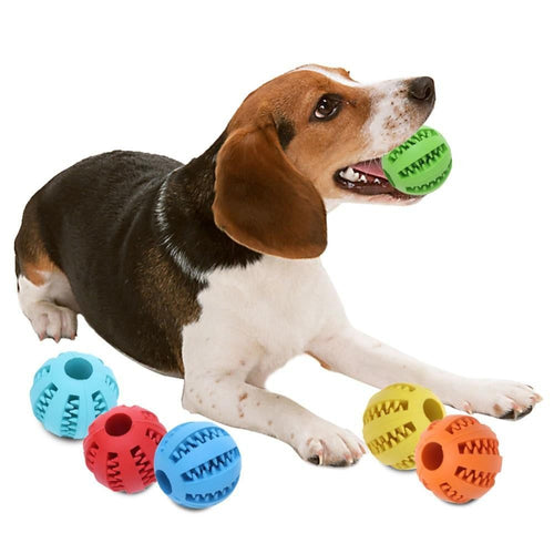 Teeth-Cleaning Dog Feeder Toy - PeekWise