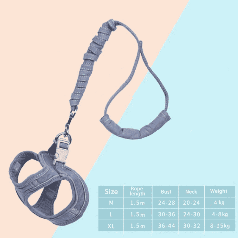 Reflective Cat harness leash PeekWise