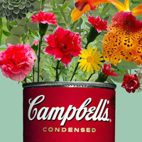 Thumbnail for Floral Campbells Wall Posters PeekWise