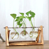 Thumbnail for Vintage Creative Transparent Plant Florarium PeekWise