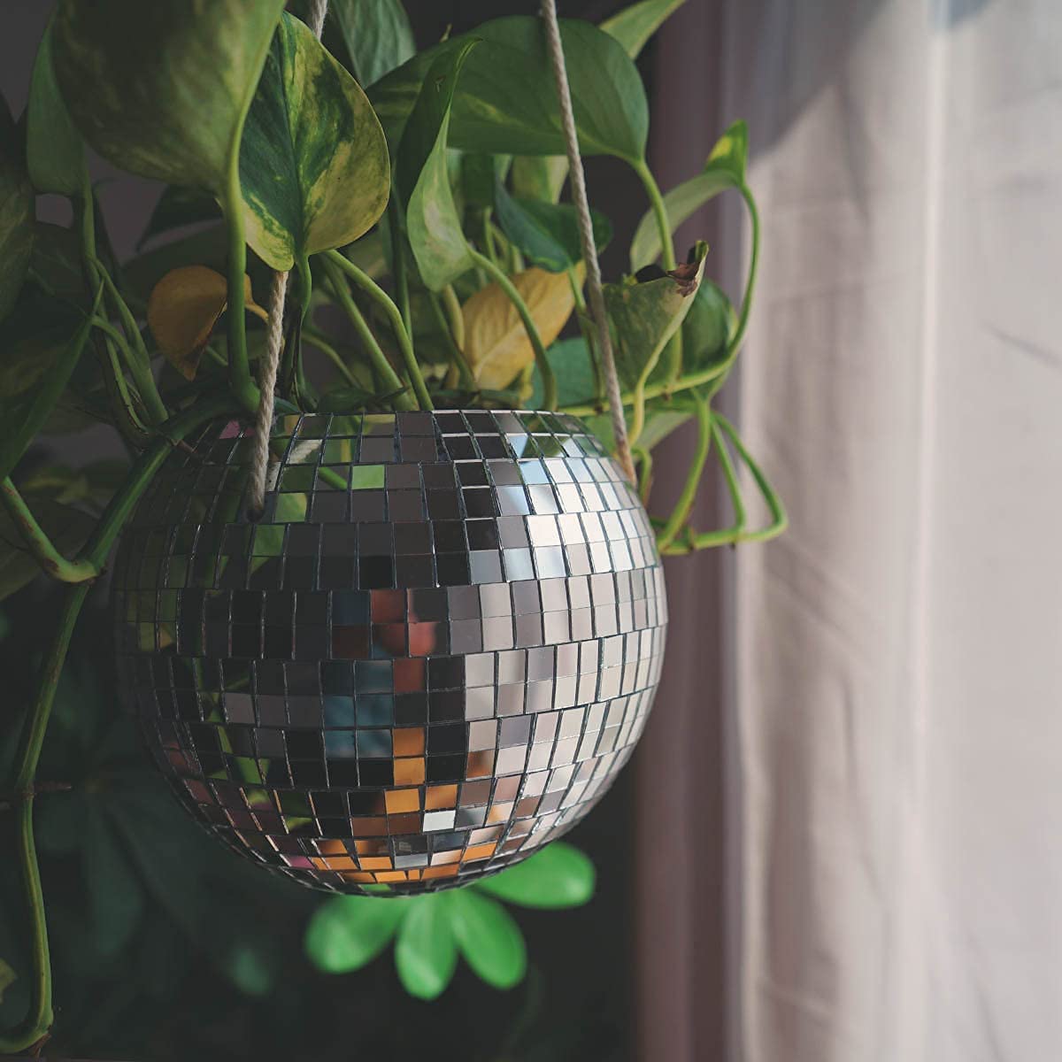 Disco Ball Planter PeekWise