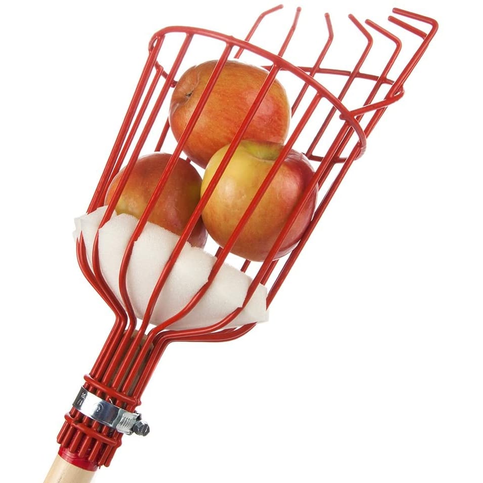 Fruit Picker Tool PeekWise