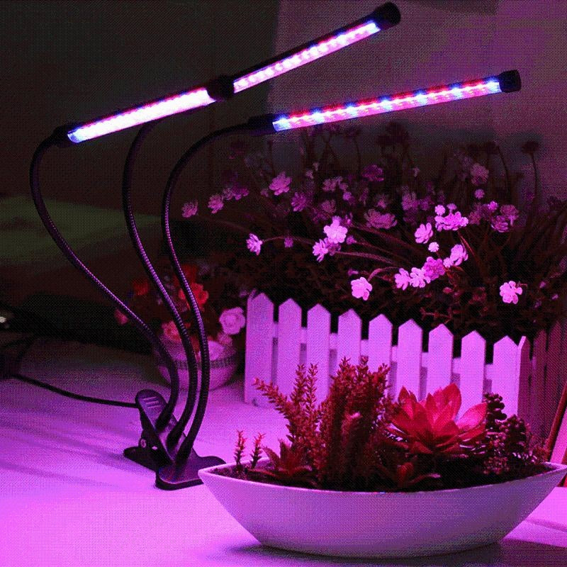 Grow Light Indoor Plants PeekWise