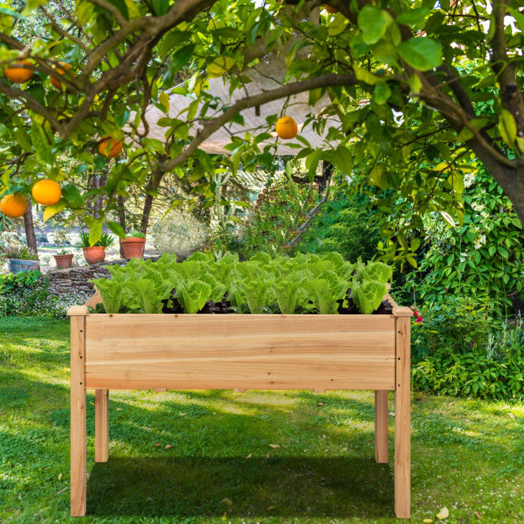 Wooden Raised Elevated Grow Planter