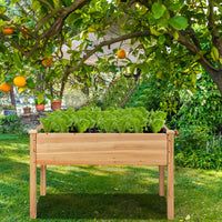 Thumbnail for Wooden Raised Elevated Grow Planter