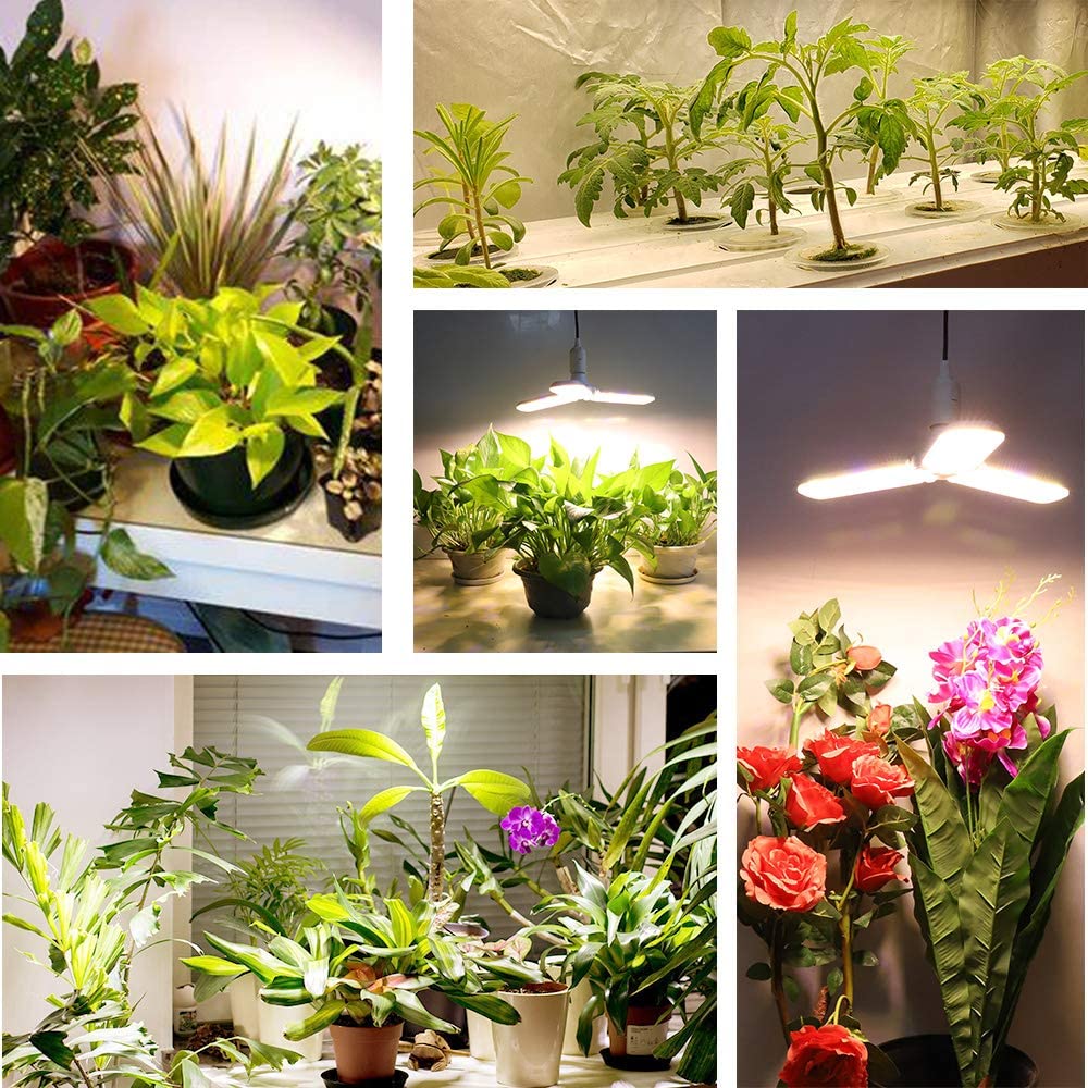 LED Grow Light Bulb PeekWise