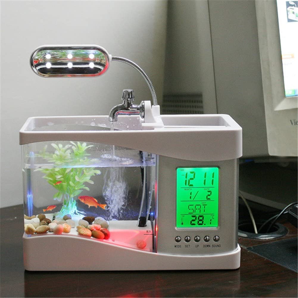 Desktop Mini Fish Tank PeekWise
