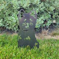 Thumbnail for Cairn Terrier