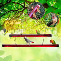 Thumbnail for Anna's Best Hummingbird Feeder