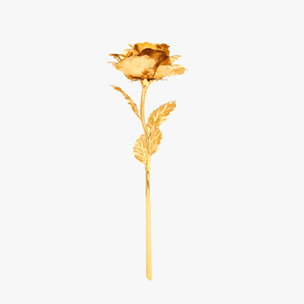 24K Gold Dipped Real Preserved Rose