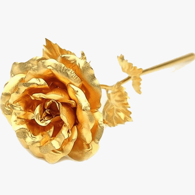 24K Gold Dipped Real Preserved Rose