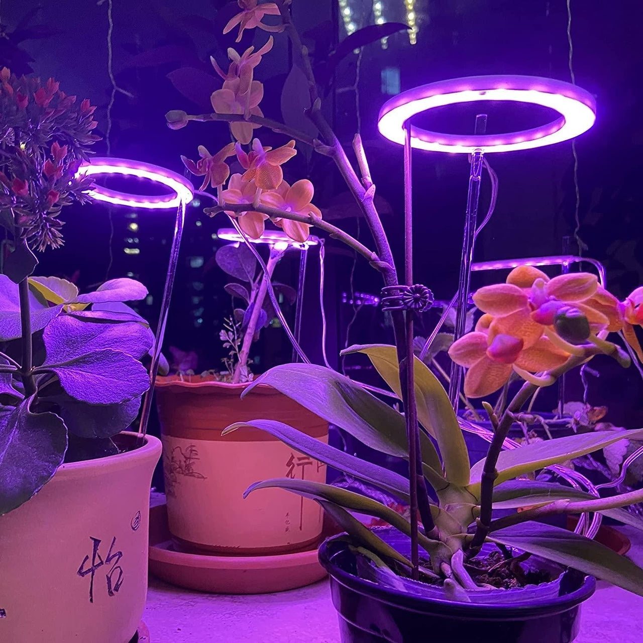 Full Spectrum Grow Light PeekWise