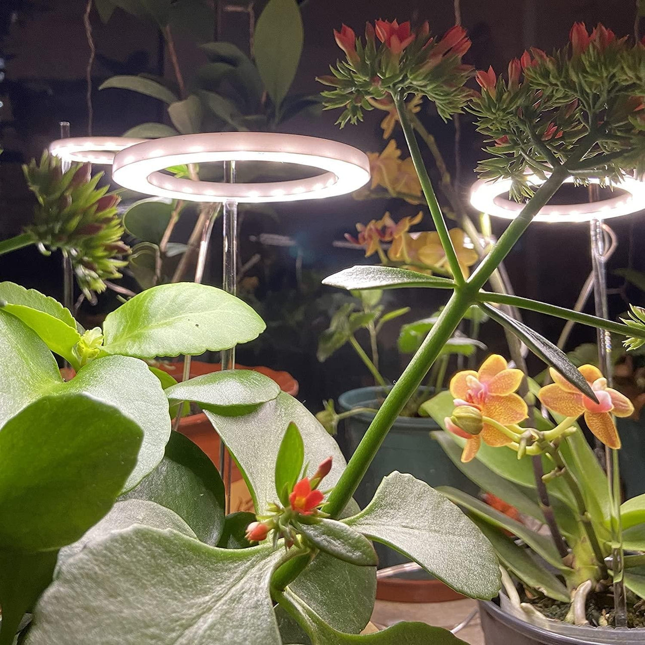 Full Spectrum Grow Light PeekWise