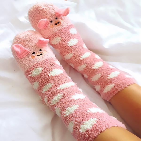 Animals Indoor Socks