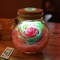 Thumbnail for Bloom - LED Rose Bottle Lamp