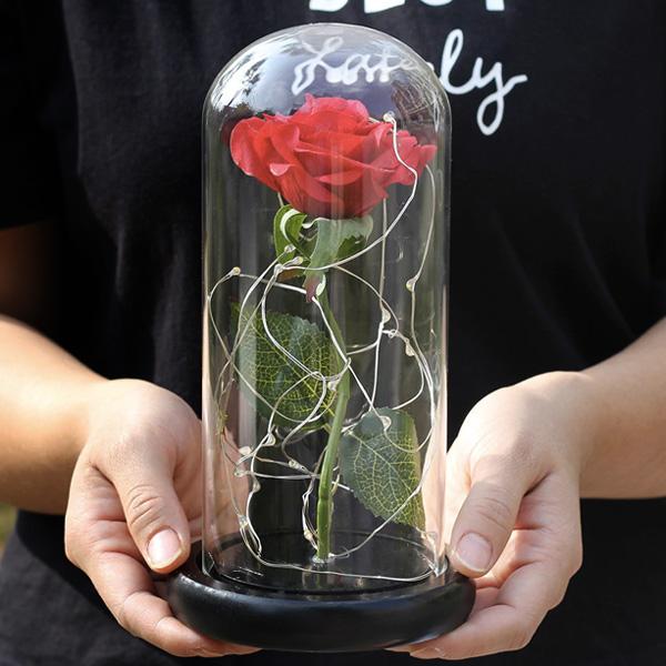 Beauty And The Beast Rose Glass Dome Light