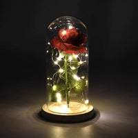 Thumbnail for Beauty And The Beast Rose Glass Dome Light